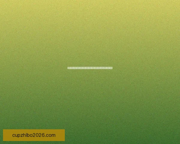 世界杯竞猜网站推荐与安全投注指南全面解析新手老手必看攻略大全