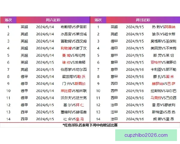 体育竞猜赔率深度解析与投注技巧全方位指南